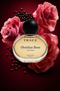 Obsidian Rose – Darkest Bloom
